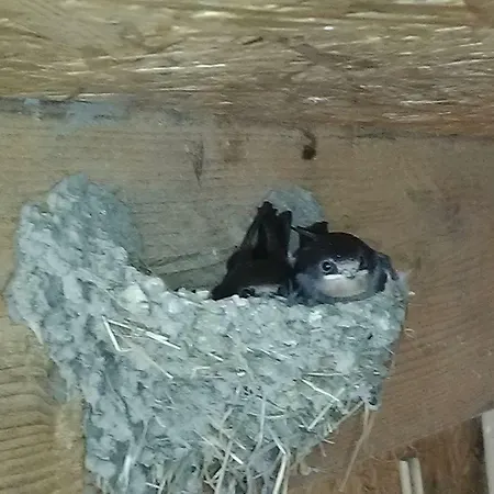 Дом отдыха D'hauville Vallee *