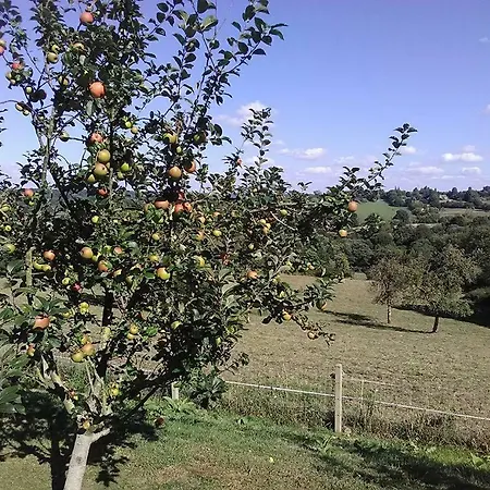 D'hauville Vallee * Bonneville-la-Louvet