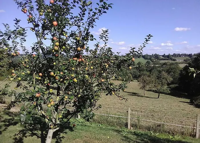 D'hauville Vallee * Bonneville-la-Louvet